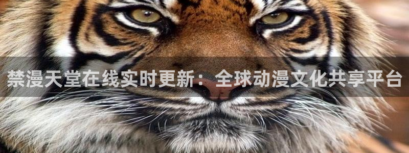 拷贝漫画 copymanager.ory网站