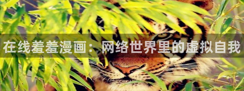 managereader漫画官网入口