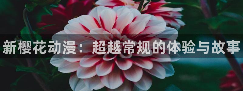 酷漫屋官网网址：新樱花动漫：超越常规的体验与故事